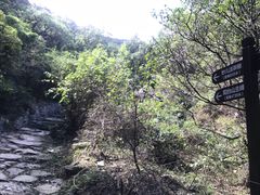 -阳台山自然风景区