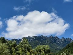 -王顺山国家森林公园