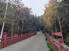 -老君山