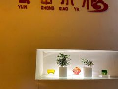 -云中小雅