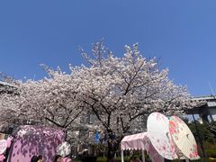 -南浦大桥长途旅游客运站