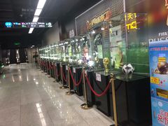 -连城·新天地(福华一路店)
