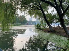 -白塘生态植物园