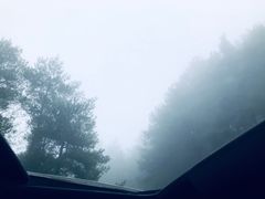 -山王坪喀斯特国家生态公园