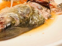 酒蒸鲥鱼-蝶园·装修中(BFC外滩金融中心店)