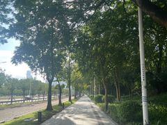 -深圳湾公园(南山区)