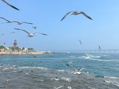 -星海广场