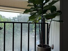 -金谷仓家庭料理(马泉营店)
