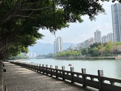 -光明港公园