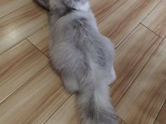 -听TA说宠咖·宠物生活馆(天韵水岸店)