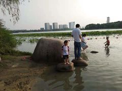 -暨阳湖生态园