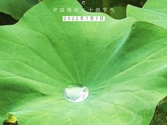 -莲湖公园