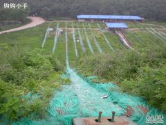 -南戴河国际娱乐中心