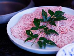-然锅料理