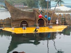 -秦皇岛乐岛海洋王国