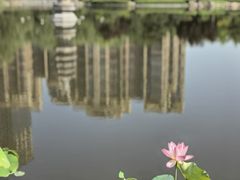 -木塔寺遗址生态公园