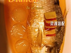 古法酿鲥鱼-老船坞水上餐厅(亚洲大酒店  东四十条店)
