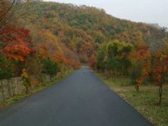 android_upload_pic-丹东天桥沟景区