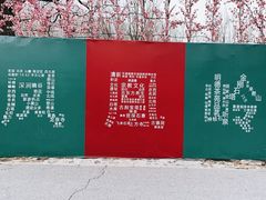 -北京凤凰岭