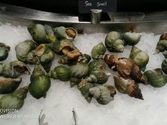 -索菲特酒店·海鲜自助 ·聚餐厅