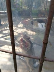 -萌宠亲子动物乐园(槐房万达店)