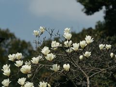 -常熟理文铂尔曼酒店