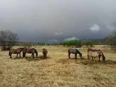 -北极村旅游风景区