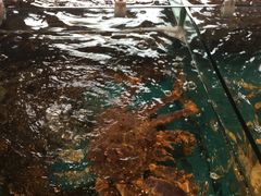 -海景壹号大酒店(惠钱路店)