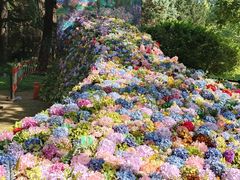 -上海共青森林公园