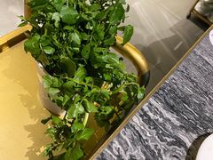 -八合里牛肉火锅(深圳光明大仟里二店)