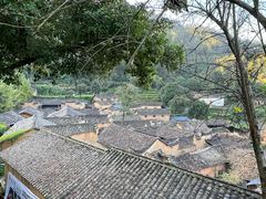 -杨家堂村