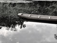 -华南国家植物园-售票处