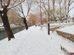 -红花点心局(护国寺店)