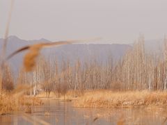-野鸭湖国家湿地公园