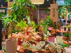 -瑞虹新天地月亮湾