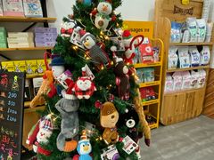 -美联众合宠物医院·爱萌分院·内外科·猫科中心