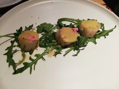 -伊斯坦布尔土耳其清真咖啡餐厅