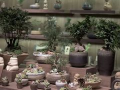 -方所(华润万象城店)