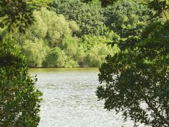 -华侨城湿地公园