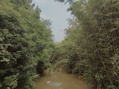 -东平国家森林公园