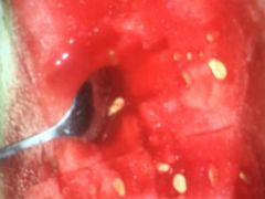 -全而廉(靖宇中路店)