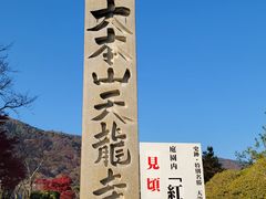 -天龙寺