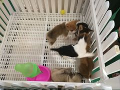 -北京华联购物中心(天通苑店)