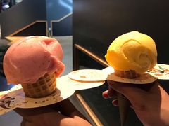 -野人牧坊Gelato(天津南开大悦城店)