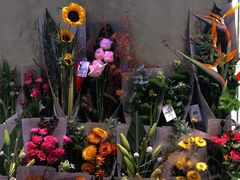 -家味螺蛳粉&烤鱼(五角场店)