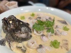 长白山人参须焖活龙胆斑-梧桐花园餐厅(新城店)