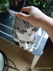 -荔刺青纹身·手穿孔饰品