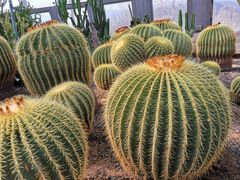 -北京植物园-展览温室