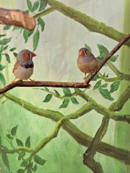 -Zoolung Zoolung动物主题公园(海信广场店)