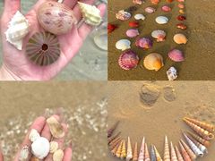 -巧克力渔家.小船海鲜胶东菜(万平口店)